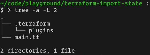 Terraform directory after initialization